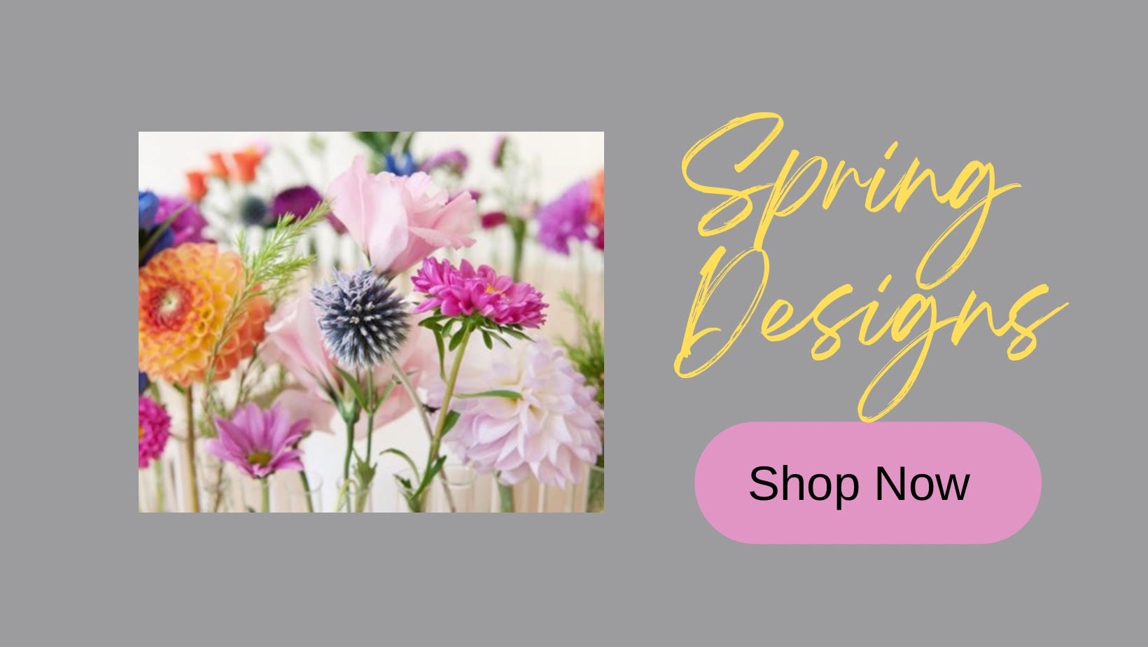 Sand Springs Spring Flowers